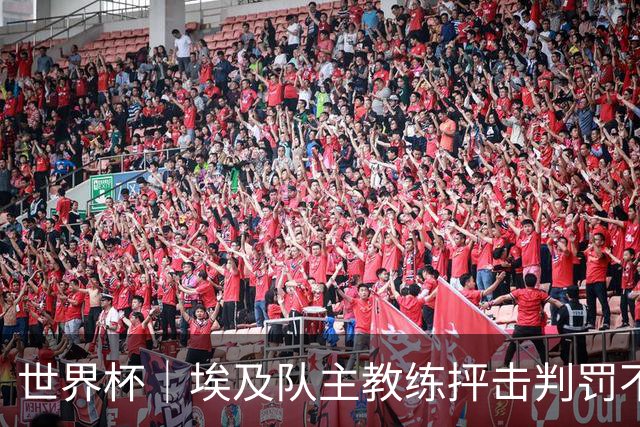 世界杯｜埃及队主教练抨击判罚不公