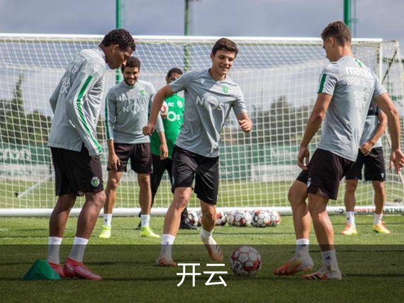开云介绍